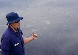 Image result for Marine Science Station of Jordan