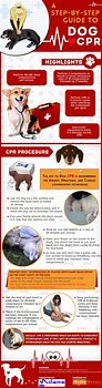 Image result for Dog CPR Flyers