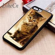 Image result for Cute Kittens iPhone 6 Cases