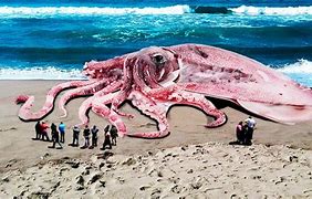 Image result for Biggest Underwater Creature
