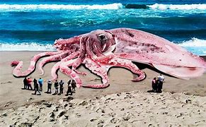 Image result for Largest Animal On Earth Ever