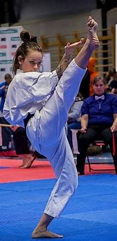 Image result for Girls in Martial Arts