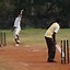 Image result for Playing Cricket