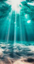 Image result for Amazing Underwater Photography