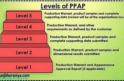 Image result for PPAP Levels