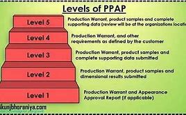 Image result for Niveles De PPAP