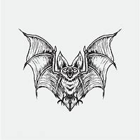 Image result for Realistic Bat Outline