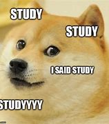 Image result for Study Skills Meme