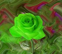 Image result for iPhone 0LE Rose