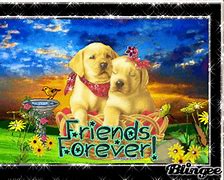 Image result for Best Friends Forever Quotes Funny
