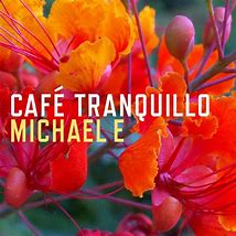Image result for tranquillo