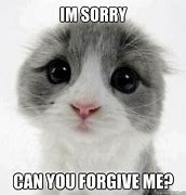 Image result for Can You Forgive Me Meme