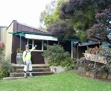 Image result for Jingalla Pawny Tort
