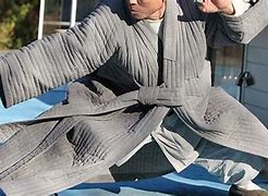 Image result for martial arts styles