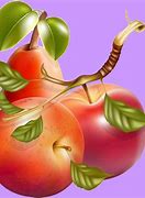 Image result for Rotten Apple Clip Art