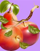 Image result for 6 Apples Clip Art