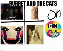 Image result for Cat Puppet Meme