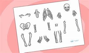 Image result for Twinkl Skeleton Cut Out