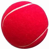 Image result for Cricket Players