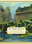 Image result for Trump Plaza Hotel New York
