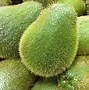 Image result for chayote