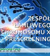 Image result for co_to_znaczy_zespół_Łamliwego_chromosomu_x