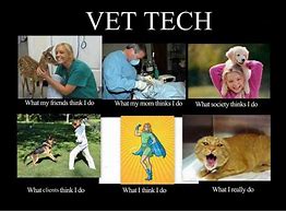 Image result for Vet Tech Memes