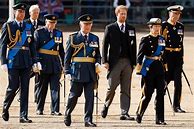 Image result for Prince Harry Awards On His Uniform