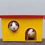 Image result for 2 Hamsters