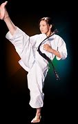 Image result for Kyokushin Axe Kick Woman