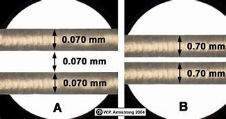 Image result for Hair Thickness in mm