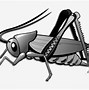 Image result for Crickett Insect Clip Art Free