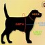 Image result for Doodlebug Measuring Guide Dogs