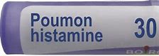 Image result for Poumon Histamine