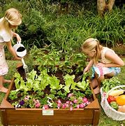 Image result for Kids Vegetable Garden