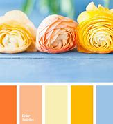 Image result for Cool or Warm Colors