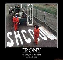 Image result for OH the Irony Meme