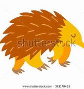 Image result for Echidna Drawing