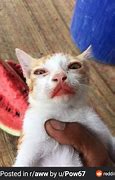 Image result for Watermelon Lips Meme