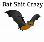 Image result for Cartoon Crazy Bat