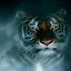 Image result for Tiger Art Wallpaper iPhone
