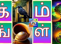 Image result for Tamil 8 Consonant Letters