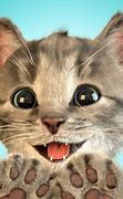 Image result for Free Cat Photo App