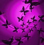 Image result for Purple Butterfly Desktop Wallpaper