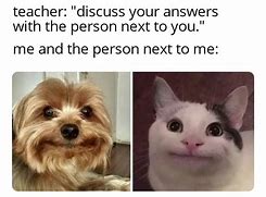 Image result for Say Each Other Meme