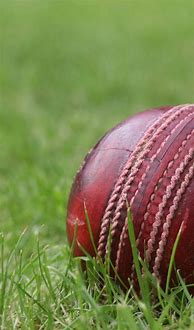 Image result for Cricket Ball Images Download