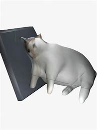 Image result for Cat in a Blender Meme