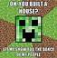 Image result for Best Minecraft Memes