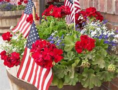 Image result for American Flag Garden