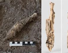 Image result for Mummified Lamb